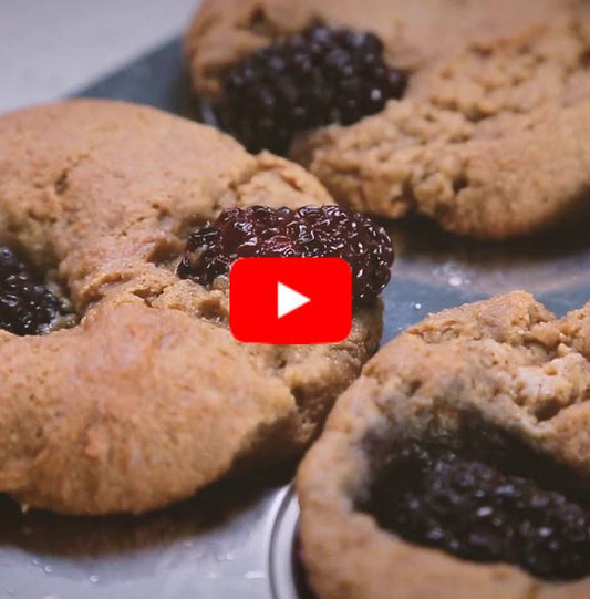 Blackberry Muffins